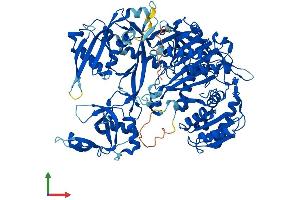 AlphaFold protein structure predicition of Human Recombinant AGO3 Protein, UniprotID Q9H9G7 (EIF2C3 Protein (AA 1-860) (His tag))