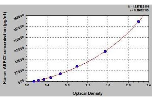 ARPC2 ELISA Kit