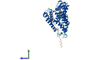 AlphaFold protein structure predicition of Human Recombinant ALG3 Protein, UniprotID Q92685 (ALG3 Protein (AA 1-438) (His tag))