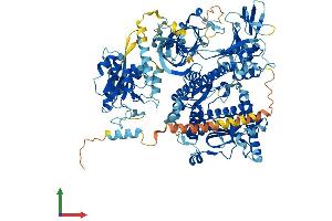 AlphaFold protein structure predicition of Human Recombinant DIS3L Protein, UniprotID Q8TF46