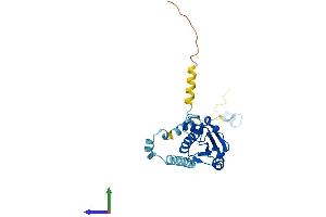 AlphaFold protein structure predicition of Mouse Recombinant Pdcl2 Protein, UniprotID Q78Y63 (PDCL2 Protein (AA 1-240) (His tag))