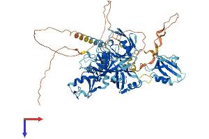 AlphaFold protein structure predicition of Mouse Recombinant Lnx2 Protein, UniprotID Q91XL2 (LNX2 Protein (AA 1-687) (His tag))