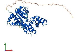 Protein Structure (PS) image for Carbohydrate (Chondroitin 4) Sulfotransferase 13 (CHST13) (AA 1-341) protein (His tag) (ABIN7553434)