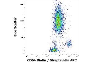 Flow cytometry surface staining pattern of human peripheral whole blood stained using anti-human CD64 (10. (FCGR1A antibody  (Biotin))