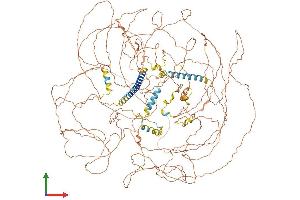 AlphaFold protein structure predicition of Mouse Recombinant Prrc2b Protein, UniprotID Q7TPM1 (PRRC2B Protein (AA 1-1486) (His tag))