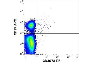 Flow cytometry multicolor surface staining of human lymphocytes stained using anti-human CD307d (A1) PE antibody (10 μL reagent / 100 μL of peripheral whole blood) and anti-human CD19 (LT19) APC antibody (4 μL reagent / 100 μL of peripheral whole blood). (FCRL4 antibody  (PE))