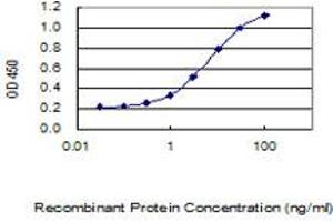 Detection limit for recombinant GST tagged TMEM81 is 0. (TMEM81 antibody  (AA 1-255))