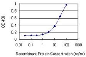 Detection limit for recombinant GST tagged HNRNPU is 0. (HNRNPU antibody  (AA 352-460))