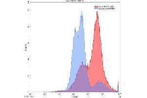 Detection of FGF21 in 293F line transfected with target gene using Anti-Fibroblast Growth Factor 21 (FGF21) Polyclonal Antibody (FGF21 antibody  (AA 29-209))