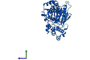 AlphaFold protein structure predicition of Human Recombinant ABHD3 Protein, UniprotID Q8WU67