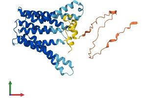 AlphaFold protein structure predicition of Mouse Recombinant Tmem185a Protein, UniprotID A2AF53