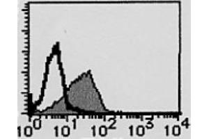 Flow Cytometry (FACS) image for anti-Tumor Necrosis Factor Receptor Superfamily, Member 8 (TNFRSF8) antibody (FITC) (ABIN492586) (TNFRSF8 antibody  (FITC))