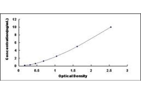 DYRK1A ELISA Kit