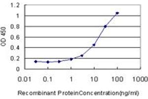 Detection limit for recombinant GST tagged HYAL1 is approximately 1ng/ml as a capture antibody. (HYAL1 antibody  (AA 60-159))