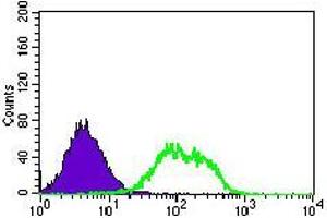 Flow cytometric analysis of HEK293 cells using GUCY1A3 mouse mAb (green) and negative control (purple). (GUCY1A1 antibody  (AA 22-214))