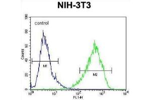 Flow Cytometry (FACS) image for anti-Homeobox and Leucine Zipper Encoding (HOMEZ) antibody (ABIN2995832) (HOMEZ antibody)