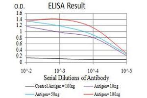 Black line: Control Antigen (100 ng), Purple line: Antigen(10 ng), Blue line: Antigen (50 ng), Red line: Antigen (100 ng), (Histone Cluster 2, H3c (HIST2H3C) (acLys27) antibody)
