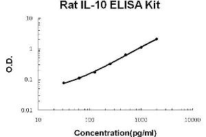 Rat IL-10 PicoKine ELISA Kit standard curve