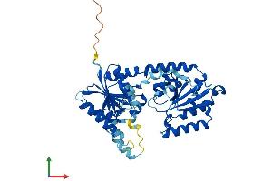 AlphaFold protein structure predicition of Human Recombinant ALG2 Protein, UniprotID Q9H553