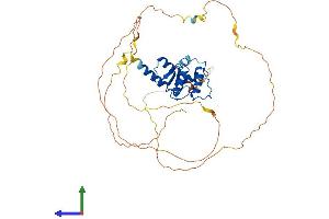 AlphaFold protein structure predicition of Mouse Recombinant Smap2 Protein, UniprotID Q7TN29 (SMAP2 Protein (AA 1-428) (His tag))