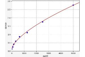 TJP1 ELISA Kit