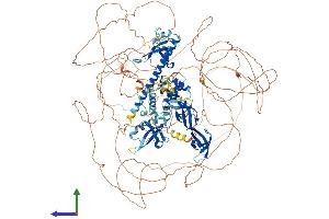 AlphaFold protein structure predicition of Mouse Recombinant Arid4b Protein, UniprotID A2CG63 (BRCAA1 Protein (AA 1-1314) (His tag))