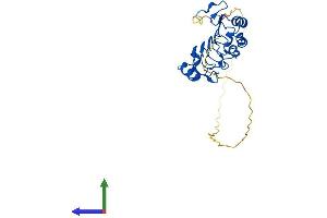 AlphaFold protein structure predicition of Human Recombinant ANP32B Protein, UniprotID Q92688
