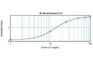 Image no. 2 for anti-Interleukin 11 (IL11) antibody (Biotin) (ABIN465007) (IL-11 antibody  (Biotin))