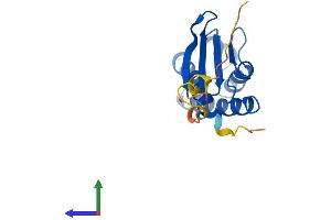 AlphaFold protein structure predicition of Mouse Recombinant Btg2 Protein, UniprotID Q04211