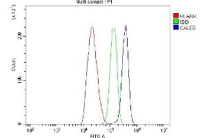 Flow Cytometry analysis of C6 cells using anti-Calretinin/CALB2 antibody (ABIN7602106). (Calretinin antibody  (AA 59-90))