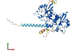 AlphaFold protein structure predicition of Human Recombinant PCYT2 Protein, UniprotID Q99447 (PCYT2 Protein (AA 1-389) (His tag))