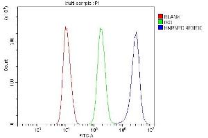Flow Cytometry analysis of SiHa cells using anti- hnRNP D/AUF1/HNRNPD antibody (ABIN7602592).