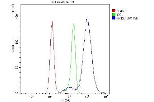 Flow Cytometry analysis of Hela cells using anti-Krt20 antibody (ABIN7601133). (KRT20 antibody  (AA 29-431))