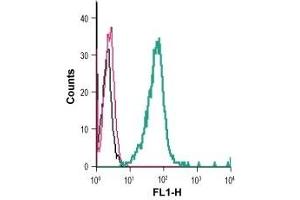 Flow Cytometry (FACS) image for anti-Pyrimidinergic Receptor P2Y, G-Protein Coupled, 6 (P2RY6) (AA 172-186), (Extracellular) antibody (FITC) (ABIN7043592)