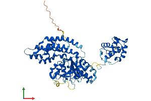 Protein Structure (PS) image for EH-Domain Containing 1 (EHD1) (AA 1-534) protein (His tag) (ABIN7565244)