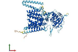 AlphaFold protein structure predicition of Human Recombinant STT3A Protein, UniprotID P46977