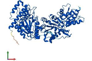 Protein Structure (PS) image for Transketolase-Like 2 (TKTL2) (AA 1-627) protein (His tag) (ABIN7560985)