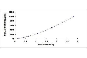 Typical standard curve (GDF15 ELISA Kit)