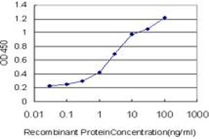 Detection limit for recombinant GST tagged ANXA10 is approximately 0. (Annexin a10 antibody  (AA 1-324))