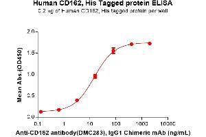 ELISA plate pre-coated by 2 μg/mL (100 μL/well) Human CD162 Protein, His Tag (ABIN6961157, ABIN7042343 and ABIN7042344) can bind Anti-CD162 antibody, IgG1 Chimeric mAb (ABIN7455314, ABIN7490585 and ABIN7490586) in a linear range of 3.