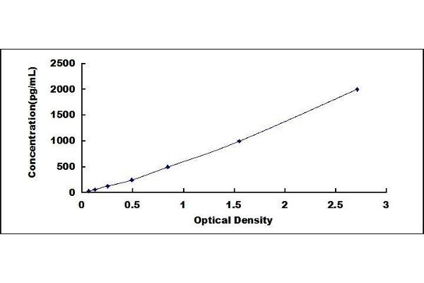 MT1 ELISA Kit