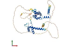 AlphaFold protein structure predicition of Human Recombinant HMBOX1 Protein, UniprotID Q6NT76