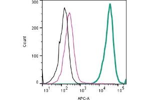 Cell surface detection of Anoctamin 1 by indirect flow cytometry in live intact human  monocytic leukemia cell line: + goat-anti-rabbit-APC.