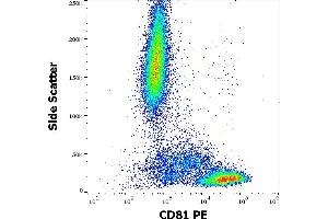 Flow cytometry surface staining pattern of human peripheral whole blood stained using anti-human CD81 (M38) PE antibody (20 μL reagent / 100 μL of peripheral whole blood).