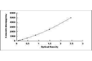 Typical standard curve (PTGS2 ELISA Kit)