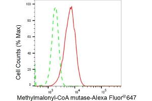 Flow cytometric analysis of Methylmalonyl-CoA mutase expression in HepG2 cells using Methylmalonyl-CoA mutase antibody (ABIN7799396), 1:2,000). (Recombinant MUT antibody)