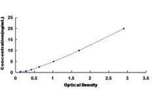 Opticin (OPTC) ELISA Kit