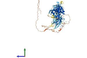 AlphaFold protein structure predicition of Mouse Recombinant Themis2 Protein, UniprotID Q91YX0