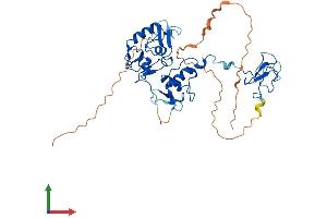 AlphaFold protein structure predicition of Human Recombinant PHF7 Protein, UniprotID Q9BWX1 (PHF7 Protein (AA 1-381) (His tag))