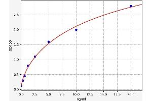 Typical standard curve (RBM24 ELISA Kit)